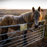 秘密研究所无追搜索:揭开隐秘实验背后的真相与秘密 2xid08o2f