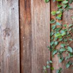 秘密森林评分为什么高:探讨其背后的故事与制作精良因素 44t6ceb