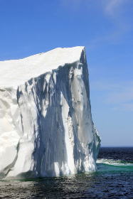 畅享txvlogcom糖心官网免费版观看，尽情体验精彩内容