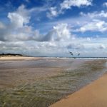 笔盒官网在线观看:探索多款创意笔盒,提升学习乐趣与效率 7o3mbg