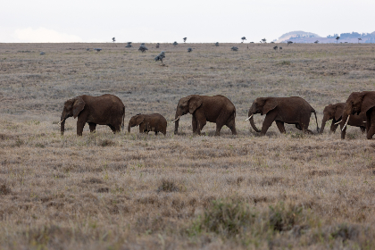 畅享91美剧网在线播放，尽览热门美剧精彩内容