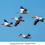 秘密教学在线阅读免费全集评论:探讨剧情深度与角色发展之精彩分析 c0wxne53o