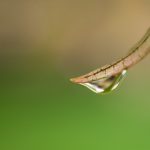 畅享F1赛事直播:F1TV Live带你领略极速激情 ep7pi6oo