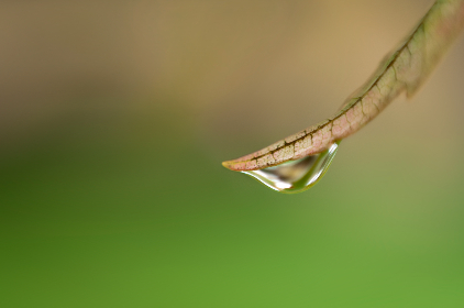 畅享F1赛事直播：F1TV Live带你领略极速激情