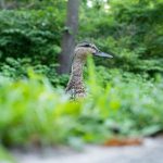 畅享b l漫画未删减版免费资源,尽情探索精彩故事 feo90