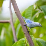 第一会所 关闭注册:用户需知的最新政策与影响分析 hbb7rcmm1