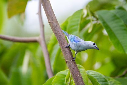 第一会所 关闭注册：用户需知的最新政策与影响分析
