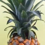 畅享9 1视频在线观看免费版,体验无限精彩内容 i6sim6x8k