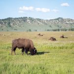 畅享ACG动漫在线:探索无限精彩的二次元世界 w55s941im